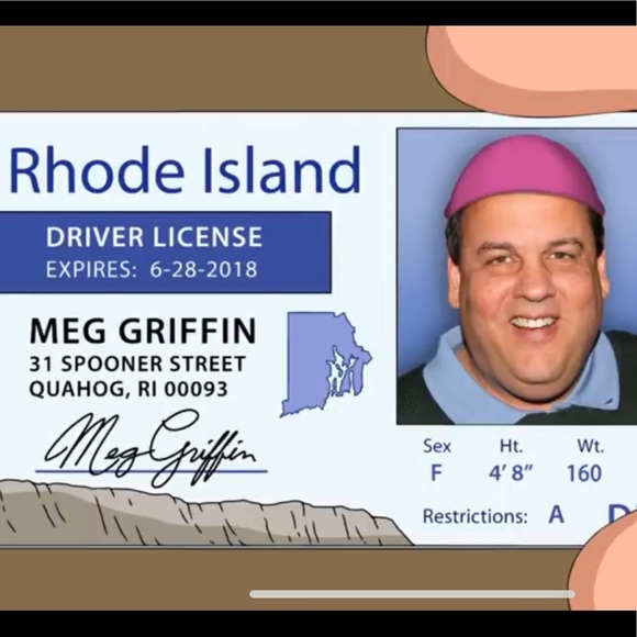 Meet your Posher, Shabba - Picture 2 of 7